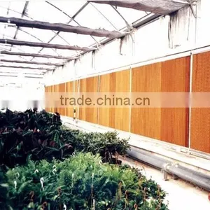 Commercial Greenhouse thumbnail-1