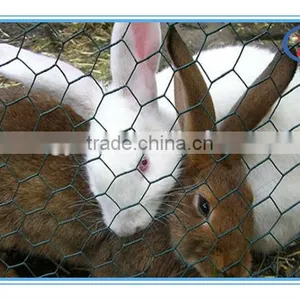 Hexagonal Netting Chicken Wire Hexagonal Wire Mesh With Green Plastic Finish thumbnail-6