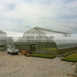 Agricultural Greenhouse Sale thumbnail-1