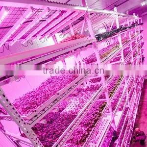 Waterproof IP65 36w Cheap Grow Lights for Indoor Plants thumbnail-6