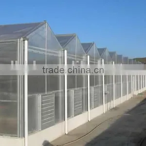 Factory Price Vegetables/Crops/Horticulture Used Poly Carbonate Sheet Greenhouse thumbnail-1