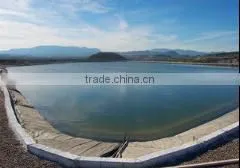 2mm Hdpe Geomembrane thumbnail-4