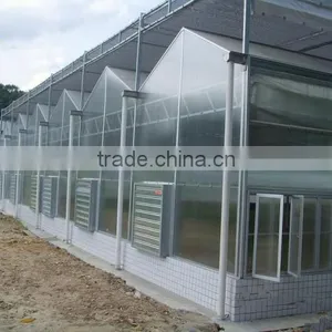 Various Agricultural Multi Span Polycarbonate Greenhouse thumbnail-1