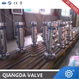 Forged Steel API 6D Double Block and Bleed Ball Valve thumbnail-2