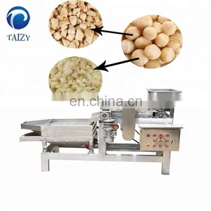 Taizy Straight Knife Nut Chopper Crushing Machine Almond Chestnut Cutting Machine Peanut Chopping Machine thumbnail-6