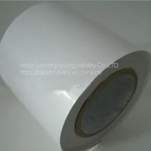 Pet Pvc Cosmetic Packing Sticker Label, Waterproof Adhesive Skin Care Label Printing Roll Sticker thumbnail-4