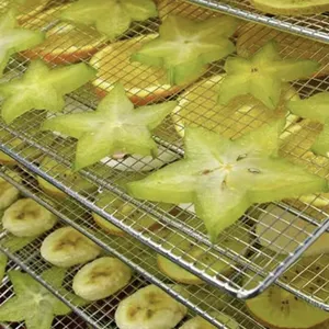 Industrial Food Drying & Baking Mesh Conveyor for Oil/Water Drainage, IP65 Waterproof Motor thumbnail-4