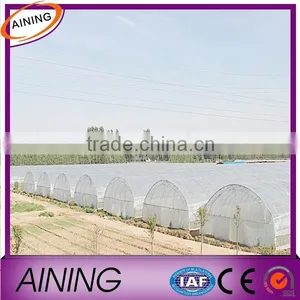 Plastic Film Multi Span Greenhouse for Tomato Vegetable and Flower Greenhouse Hot Sale Greenhouse for Farming thumbnail-3