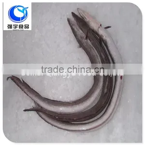 Fresh Frozen Fish Frozen Eel Fish thumbnail-4