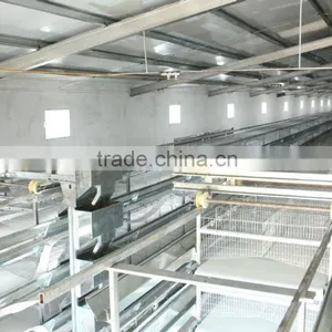 Poultry Farming Equipment Meat Broiler Cage for Steel Chicken House thumbnail-5
