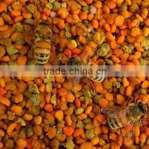 Tea Flower Pollen thumbnail-1