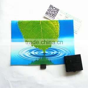 2013 Hot Selling el Color Animation T-shirt Panel thumbnail-1