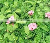 Plastic BOP Netting as Fruit Cage/Anti Bird Net/Plant Protection Net thumbnail-3