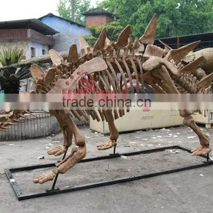 High Quality Simulated Dinosaur Skeleton Model Of Tuojiangosaurus thumbnail-1