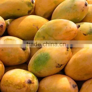 Fresh Chunsa Mango thumbnail-5