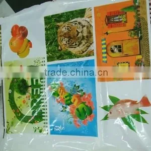 YT-6800 Roll to Roll Plastic Film Flexo Printing Machine thumbnail-2
