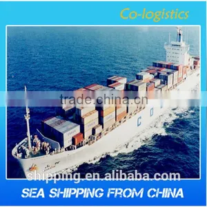 China Freight Forwarders/ocean Freight/sea Freight----Apple thumbnail-2