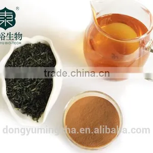 100% Natural Pure Green Tea Extract Powder Instant Powder 50% thumbnail-2