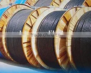 0.6/1kv XLPE Insulated PVC Sheath Power Cable thumbnail-1