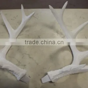 Hand Painted Custom Wall Mounted White Resin Deer Antler thumbnail-2