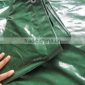 Supplier of Waterproof Flexible Fabric PE Tarpaulin in Roll thumbnail-1