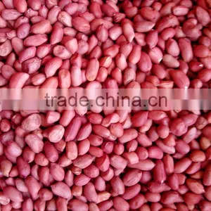 Red Skin Peanuts /organic Peanut thumbnail-1
