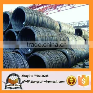 316L 304 Stainless Steel Wire / Stainless Steel Wire in Coil (factory Price) thumbnail-4