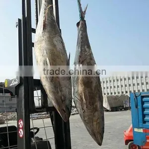 New Sea Frozen Yellow Fin Tuna 3-9kg Exports thumbnail-2