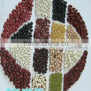 2014 Crop Red/White/Black/Light Speckled Kidney Beans. thumbnail-1