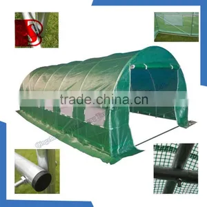 Focus Garden Tunnel Dome, High Quality Greenhouse for Sale thumbnail-4
