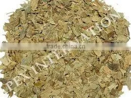 Neem Leaf / Azardiractha Indica / Neem thumbnail-1