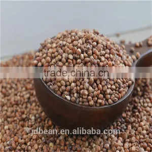 Natural Glutinous Red Sorghum Price thumbnail-1