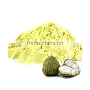 Spray Dried Custard Apple Powder thumbnail-1