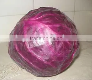 2016 Fresh Red Cabbage Premium Cabbage Export thumbnail-2