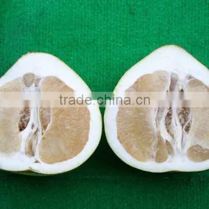 Pomelo Fruit for Pomelo Juice for Sale thumbnail-6