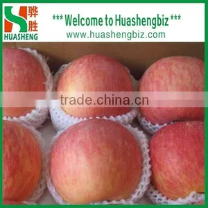 2016 Freshest Crop Fresh Fuji Apple thumbnail-6