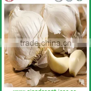 Fresh White Garlic From Chinese Garlic Hometown Jinxiang thumbnail-4