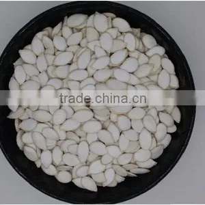 Snow White Pumpkin Seeds 9-14CM, 11-13MM thumbnail-1