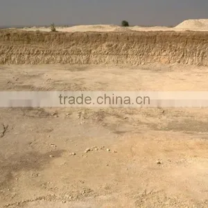Diatomaceous Earth Powder thumbnail-3