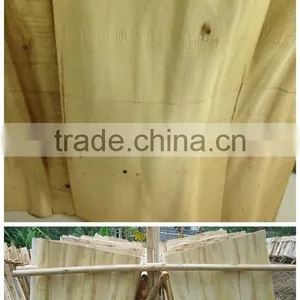 Acacia Rotary Veneer for Malaysia Market thumbnail-5