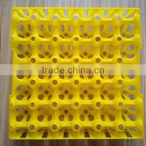 China High Quality Plastic Egg Tray for 30 Chicken Eggs thumbnail-2