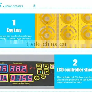 HHD 2016 PVC Design High Quality 96% Hatching Rate Cheap Quail Egg Tray for Incubator thumbnail-3