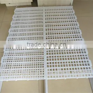 Chicken Plastic Floor thumbnail-1