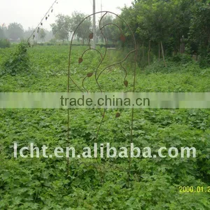 Garden Trellis,metal Flower Trellis,metal Garden Trellis thumbnail-1