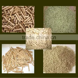 Widlly Used China Supplier Flat Die Particle Machine thumbnail-3