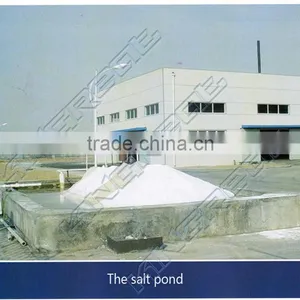 Different Field Use Considerable Capacity Complete Salt Production Line thumbnail-2