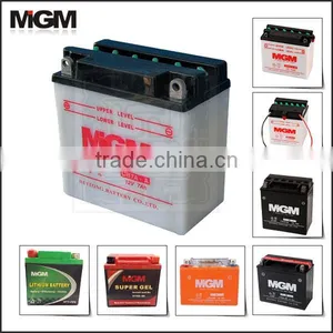 12 Volt Battery thumbnail-1