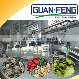 Hot-selling Belt Drying Vegetable Dehydration Production Line thumbnail-5