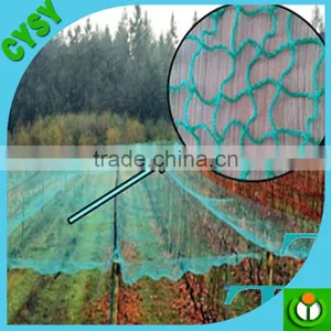 High Quality With Low Price Anti-Bird Net thumbnail-2