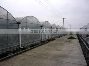 Factory Price Multi-span Plastic Greenhouse thumbnail-1